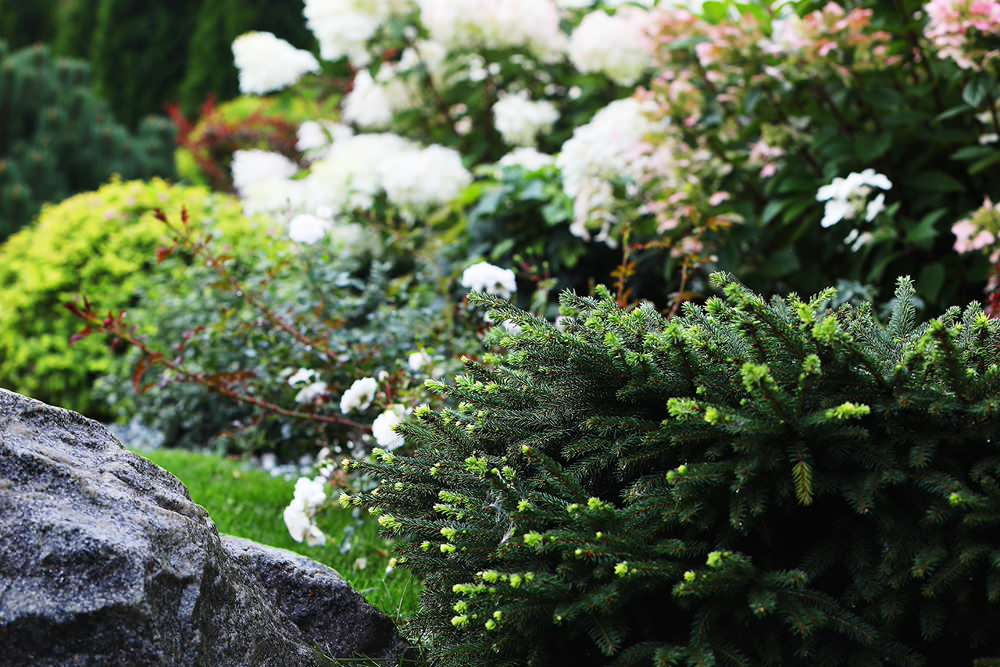 Легкий фьюжн 0.25 га