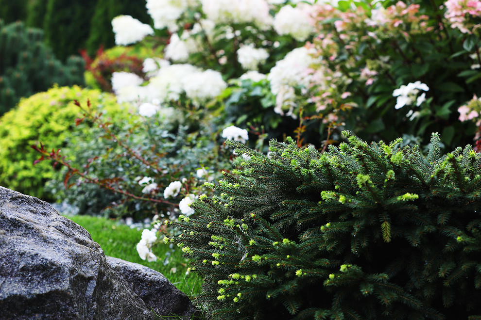 Легкий фьюжн 0.25 га