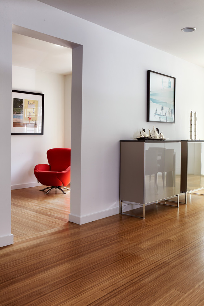 This is an example of a contemporary hallway in Other with medium hardwood floors.