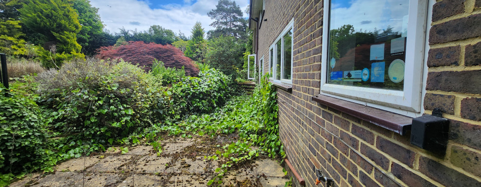 Woodpecker close Cobham