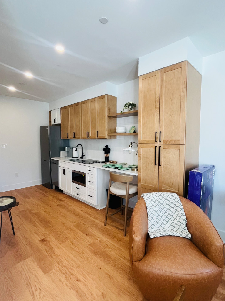 Capitol Hill, DC Renovation