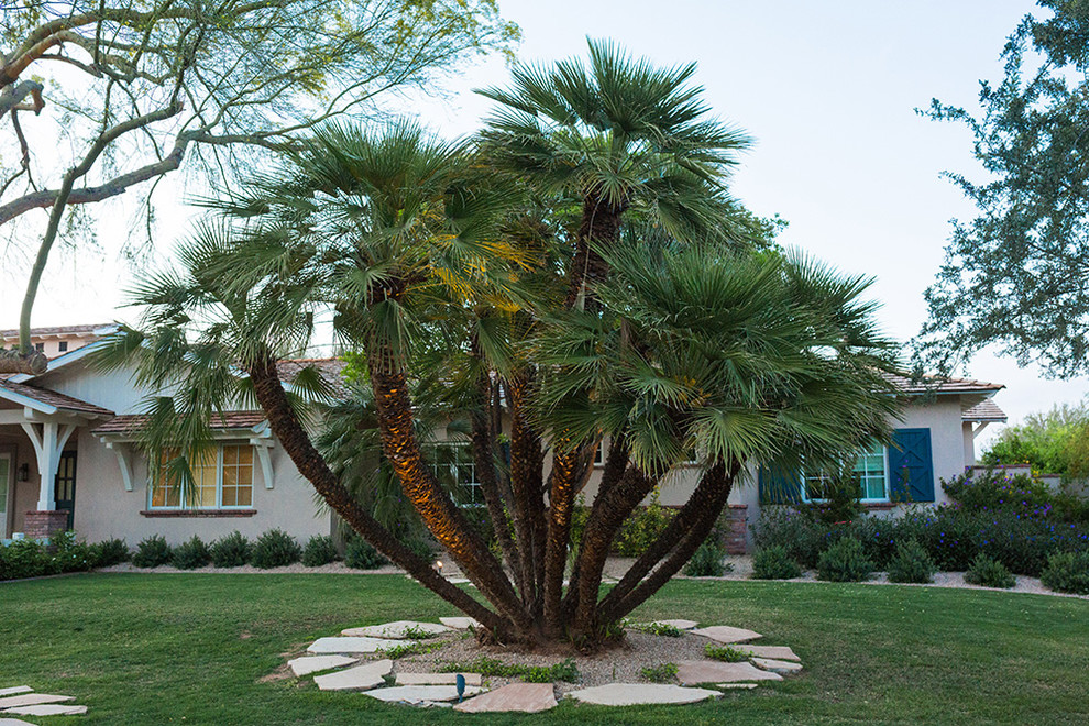 Design ideas for a mid-sized traditional backyard partial sun xeriscape for spring in Phoenix with a garden path.