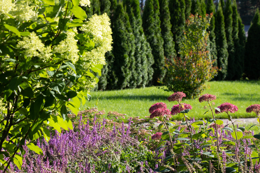 Сосновые берега