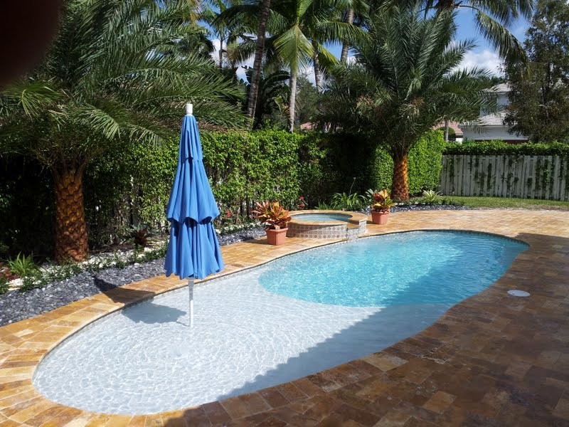 Photo of a tropical pool in Miami.