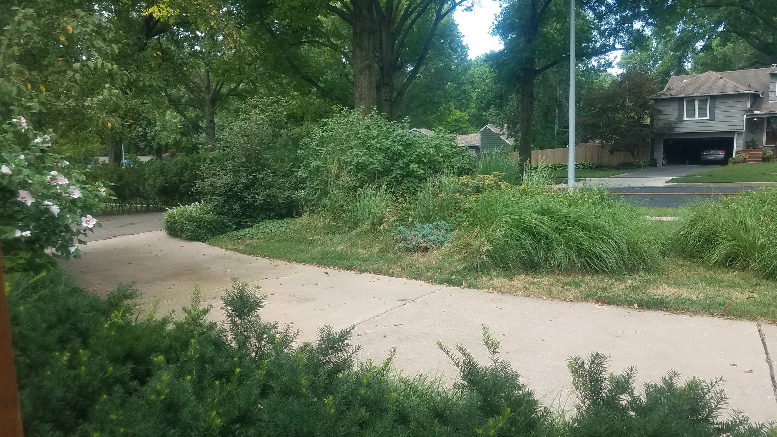 Prairie Village Prairie