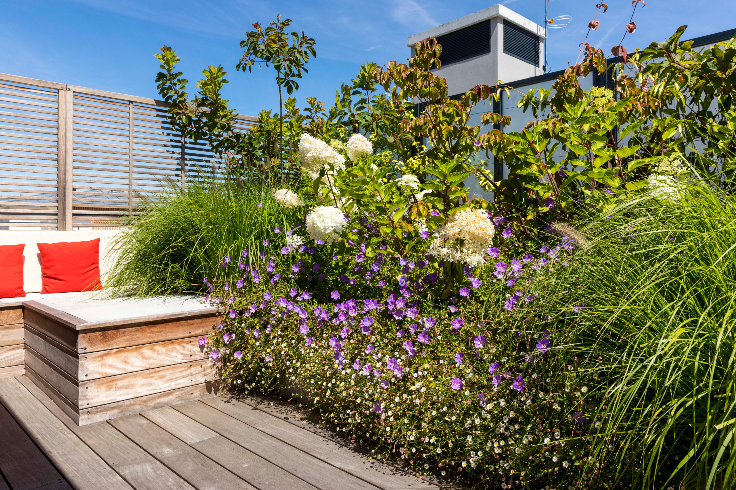 une terrasse foisonnante!
