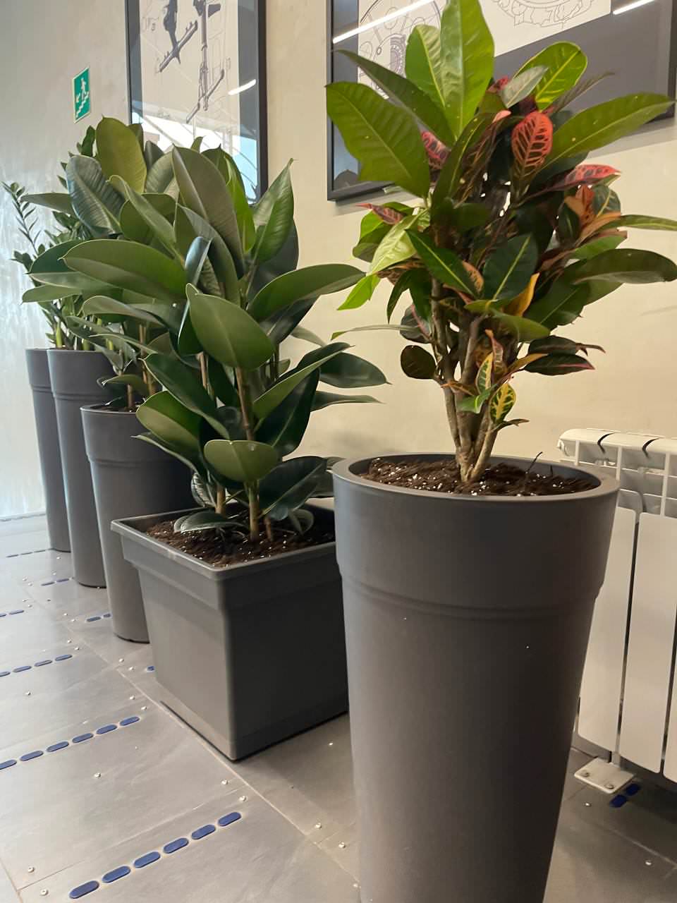 Офис Технодинамика г. Москва