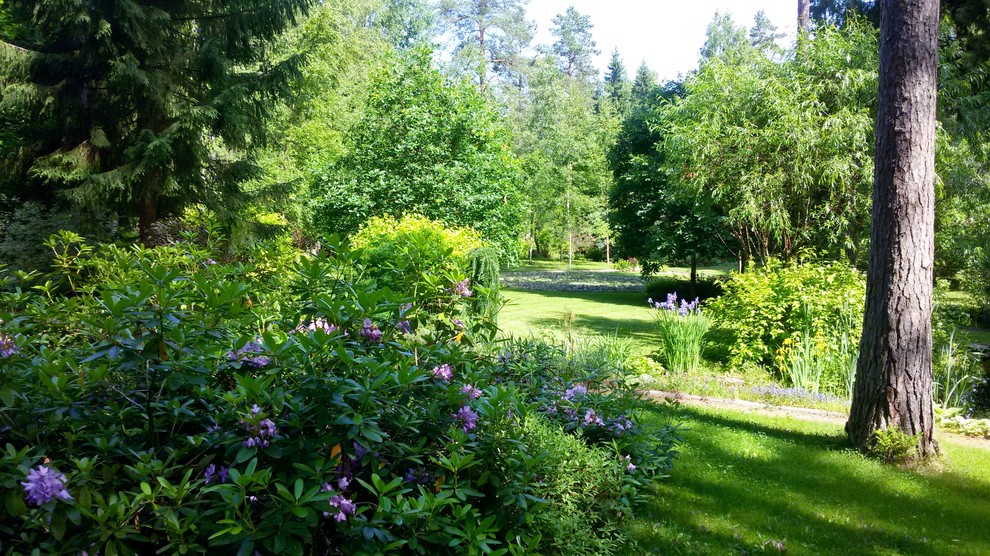 Дальний край участка у бани