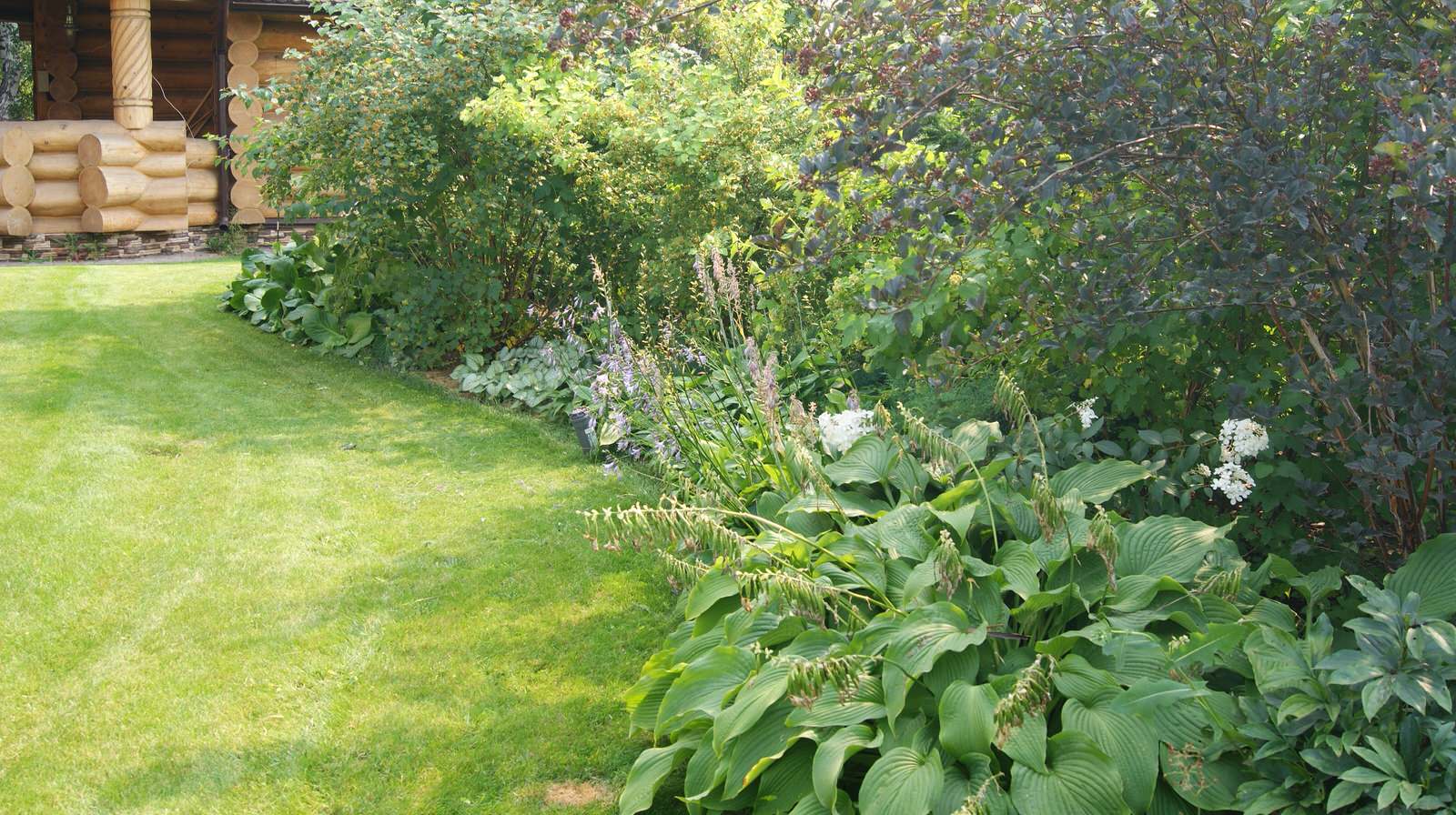 Скандинавские мотивы