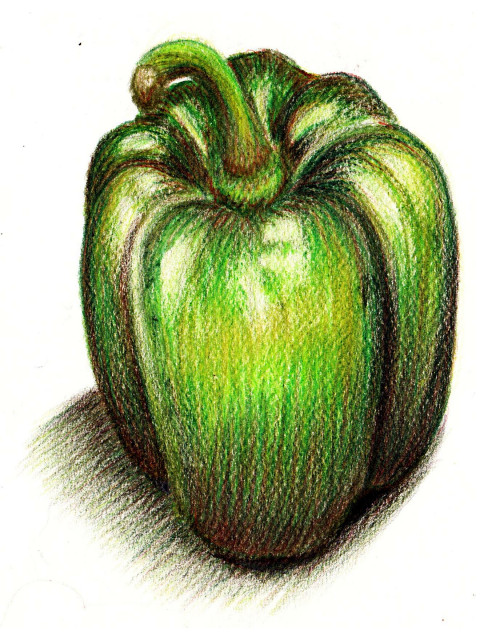 Illustrations 