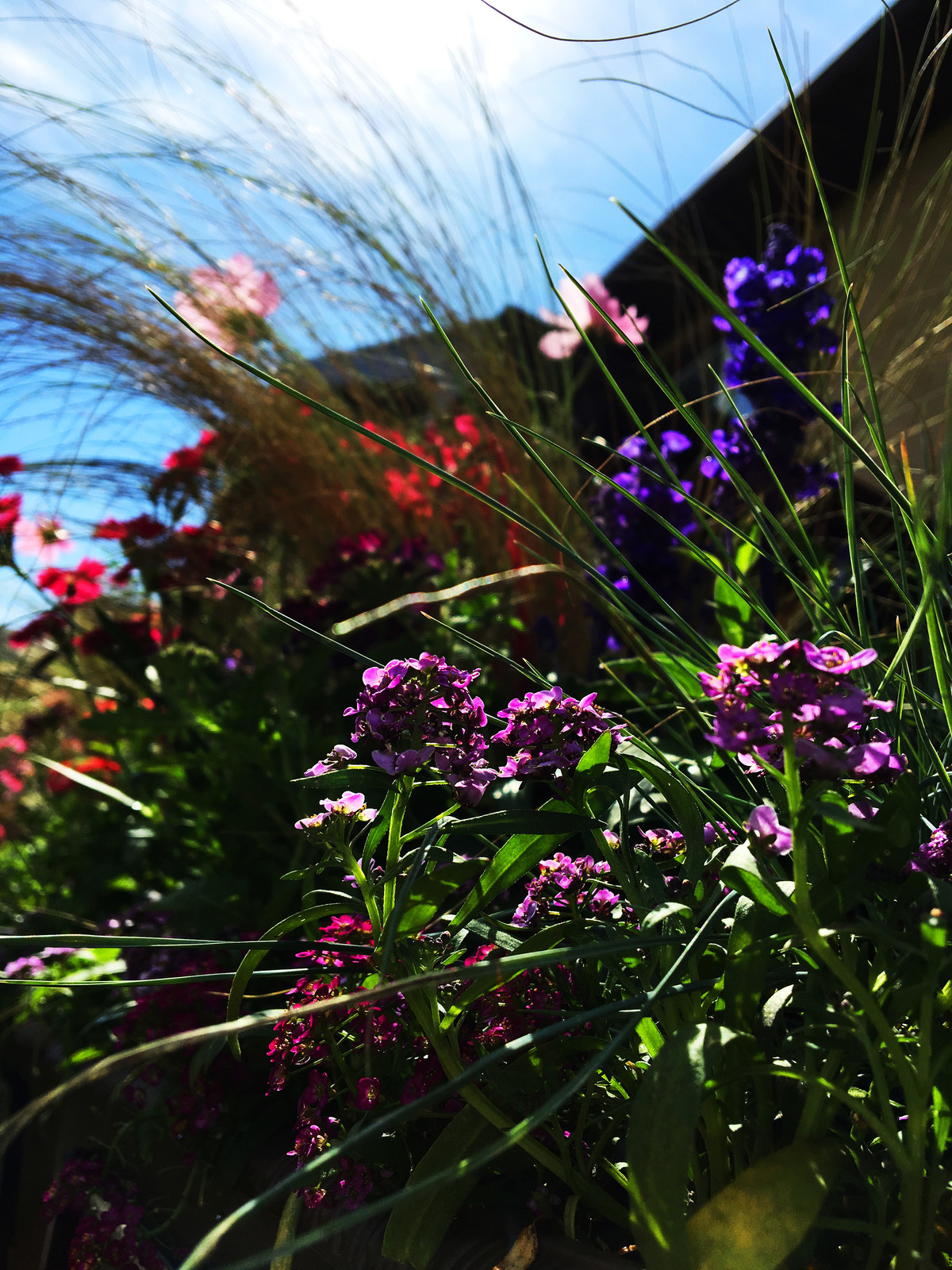 Терраса в Новых Вешках