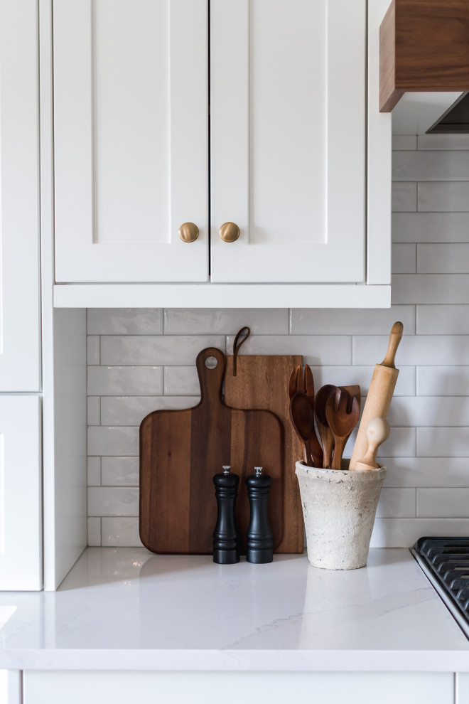 Kitchen - transitional kitchen idea in Toronto