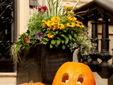 Come Scegliere, Intagliare e Decorare una Zucca di Halloween (15 photos) - image  on http://www.designedoo.it