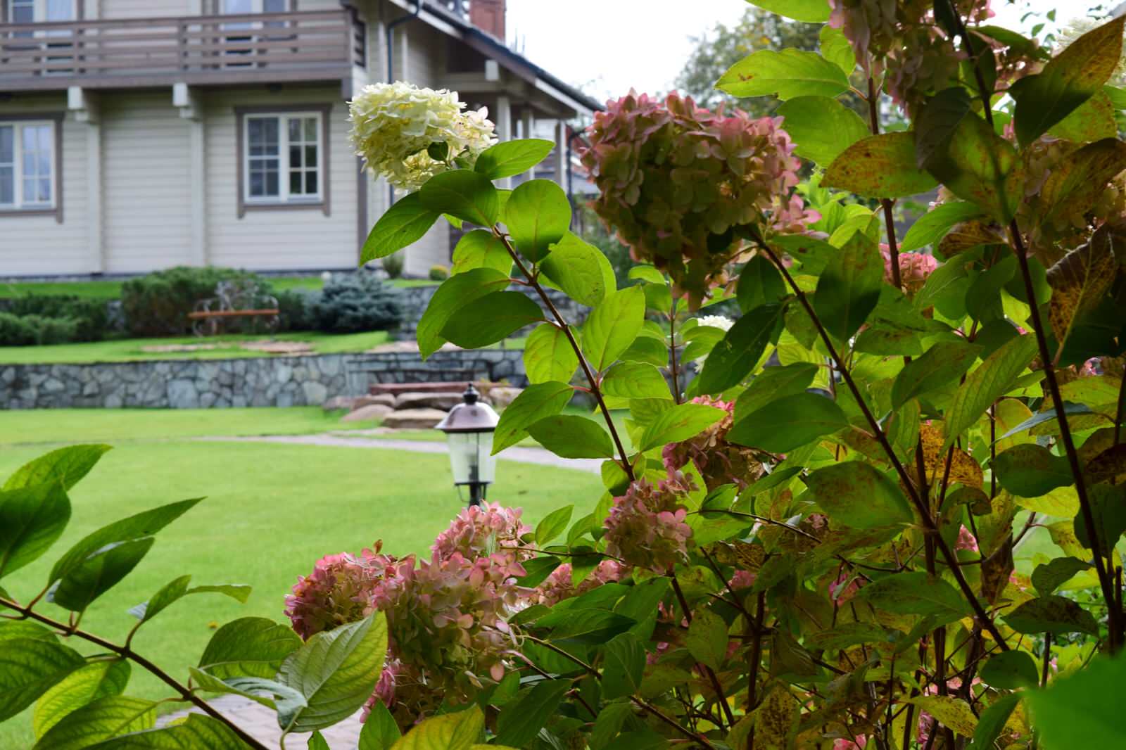 Частный сад в Нижегородской области