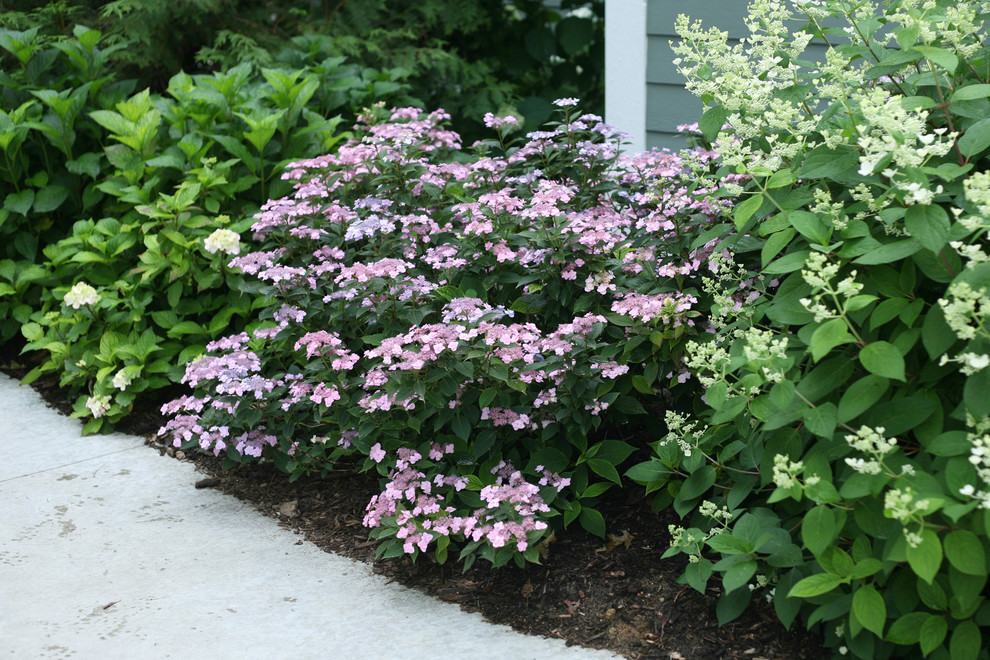 Inspiration for an eclectic partial sun landscaping in Chicago.
