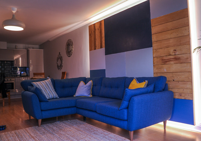 apartment in Drumcondra scandinavian-living-room