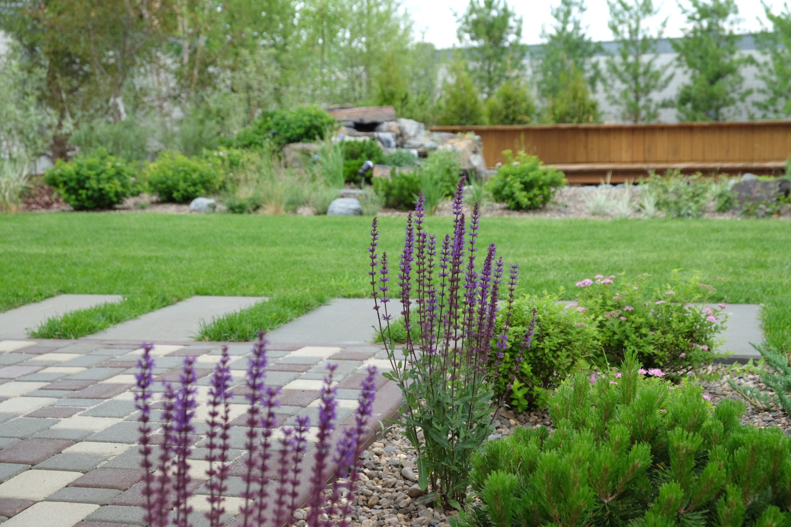 Современный сад