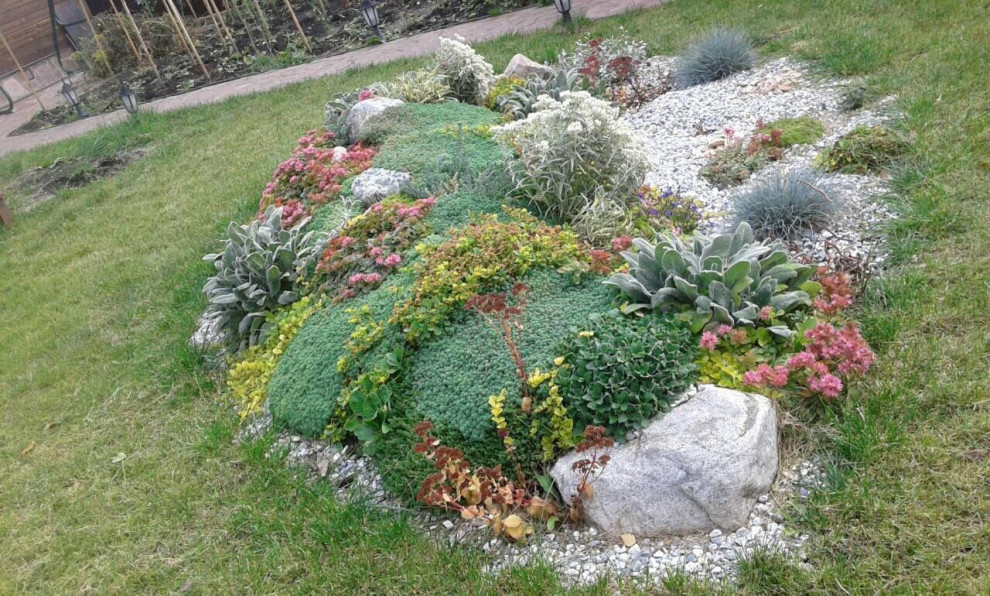 Пример оригинального дизайна: маленький солнечный, летний засухоустойчивый сад на заднем дворе в средиземноморском стиле с камнем в ландшафтном дизайне и хорошей освещенностью для на участке и в саду