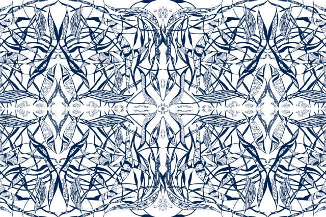 Illustration Examples 