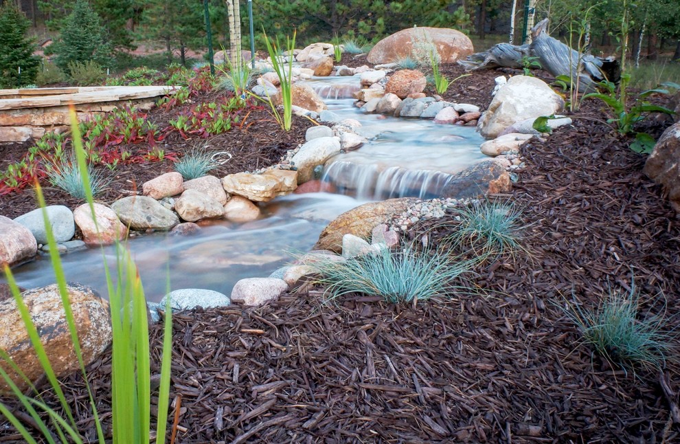 Design ideas for a rustic landscaping in Denver.