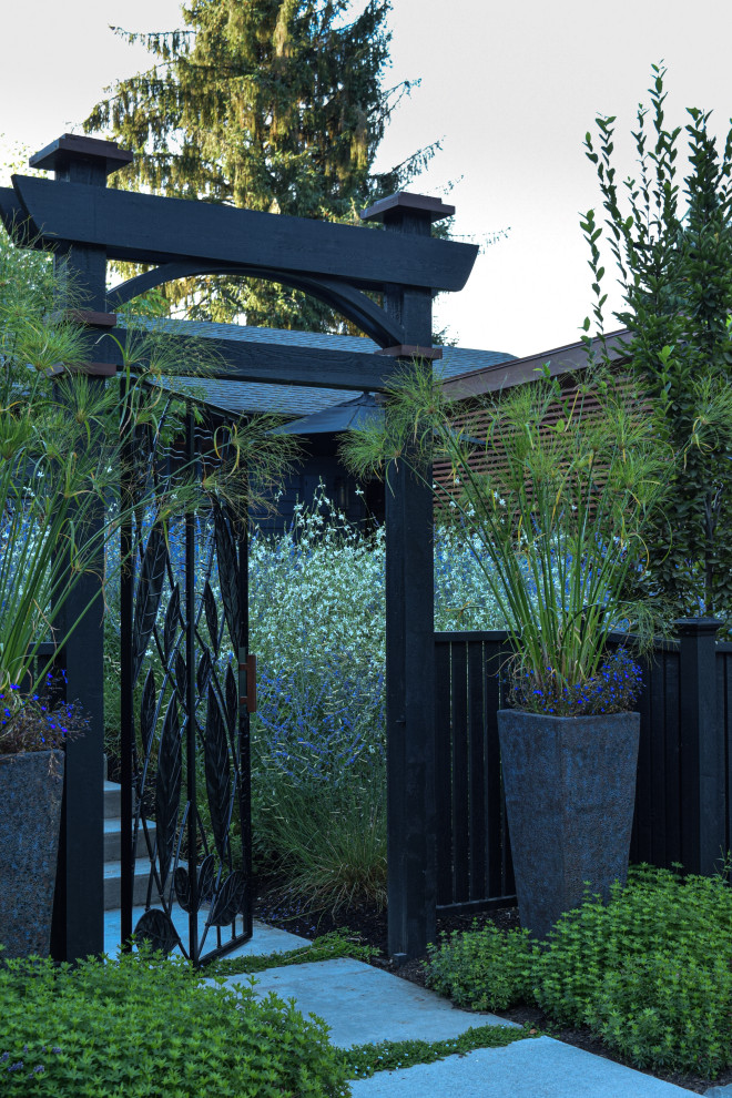 На фото: солнечный, летний засухоустойчивый сад среднего размера на переднем дворе в стиле модернизм с садовой дорожкой или калиткой и хорошей освещенностью с