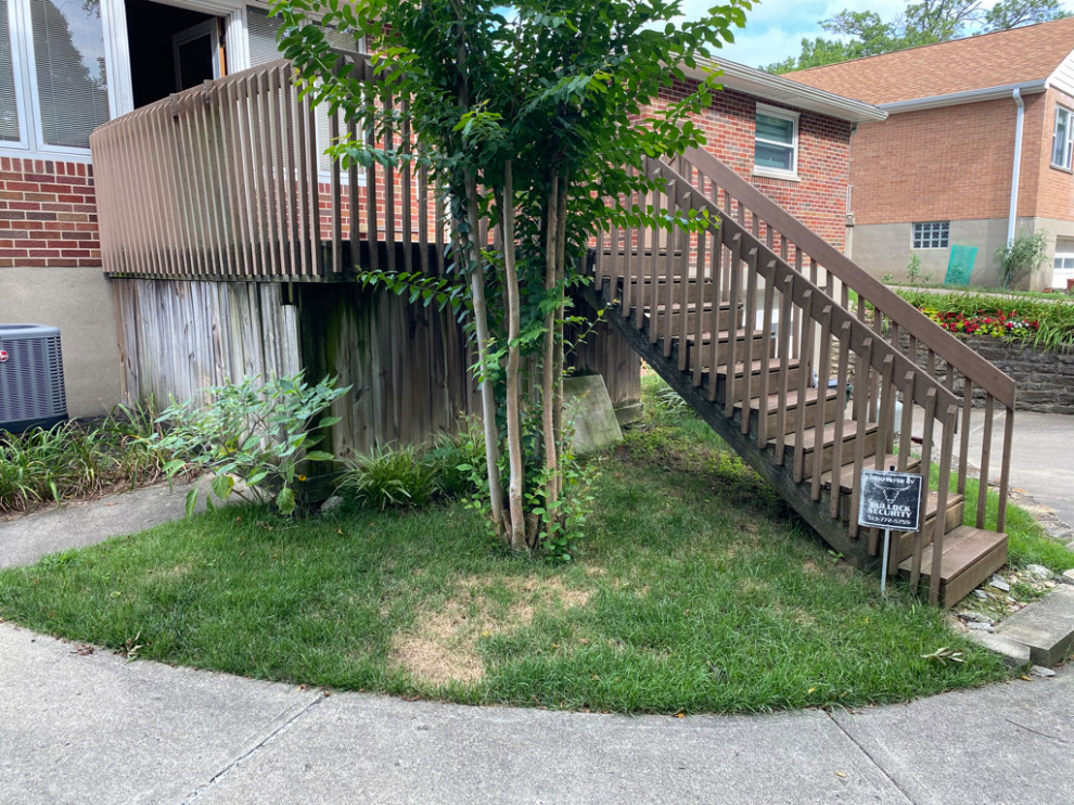 Deck Builds