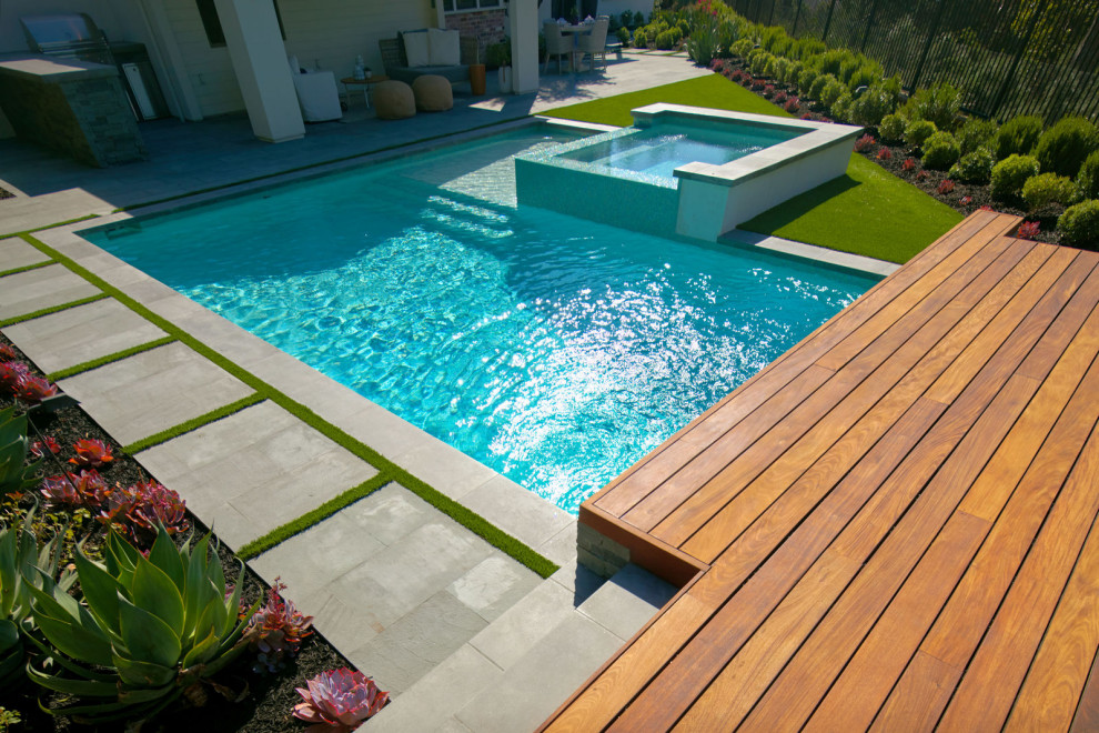 Contemporary Backyard