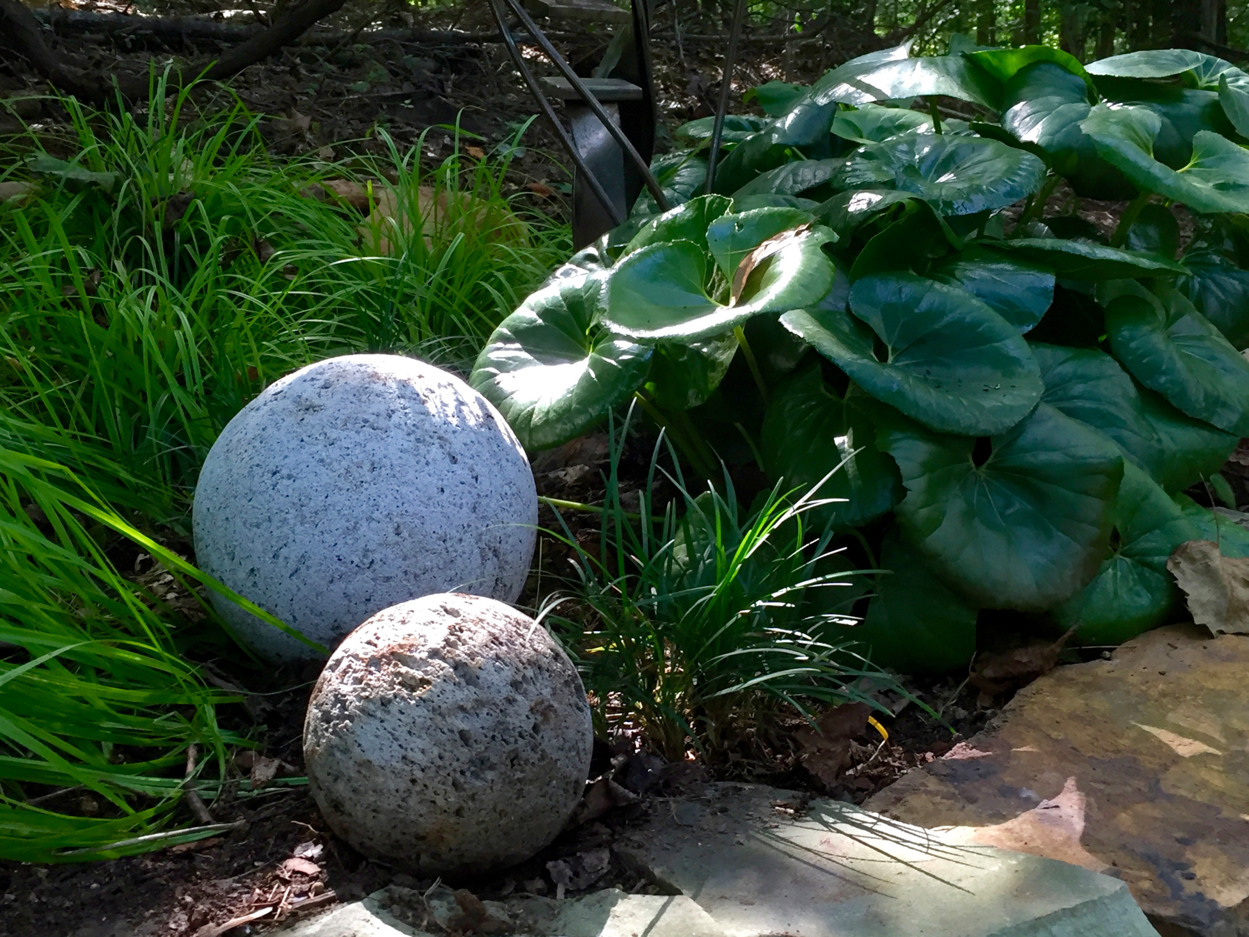 Spheres along a forest path