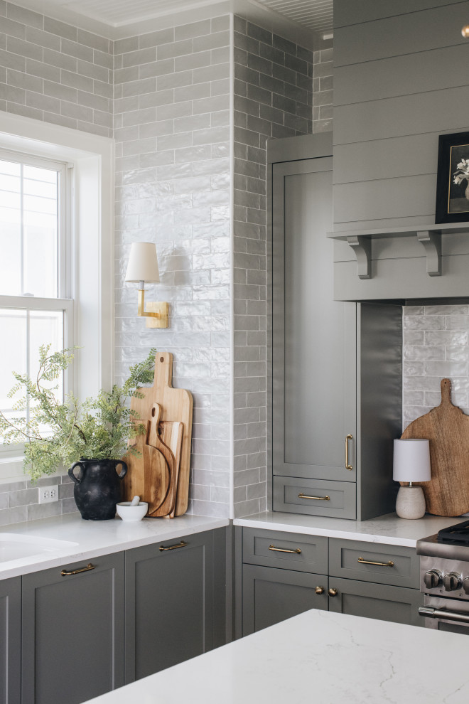 Inspiration for a transitional home design remodel in Chicago