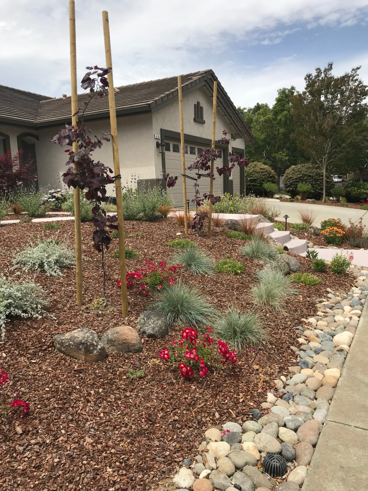 Benicia Low-maintenance front yard