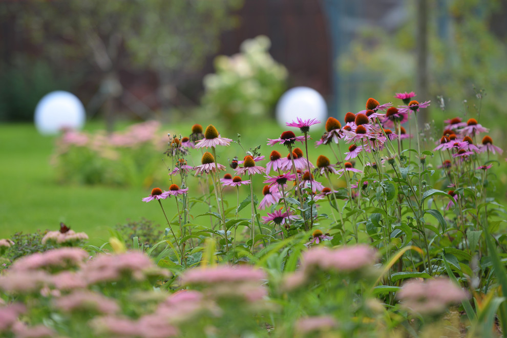 КП Снегири "Сад в пейзажном стиле" 50 соток