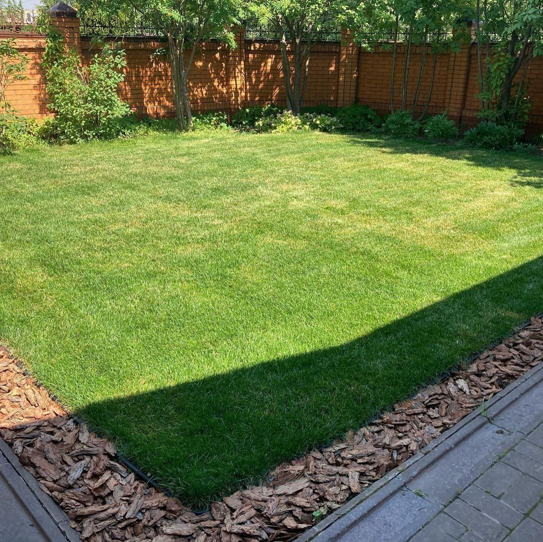 Рулонный газон