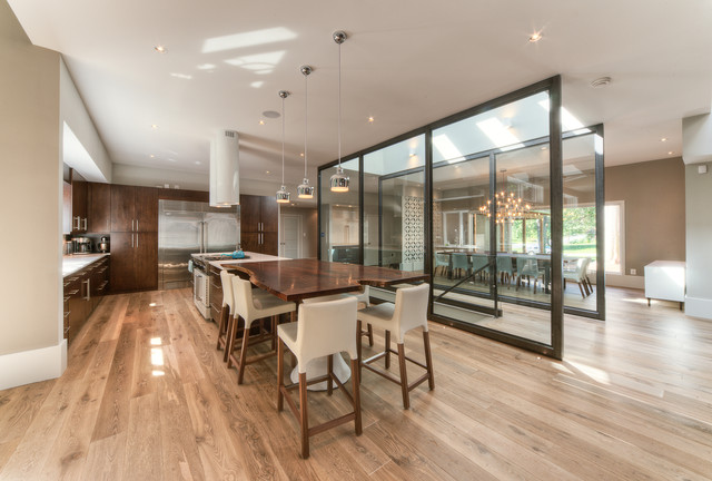 Modern Treehouse contemporary-kitchen