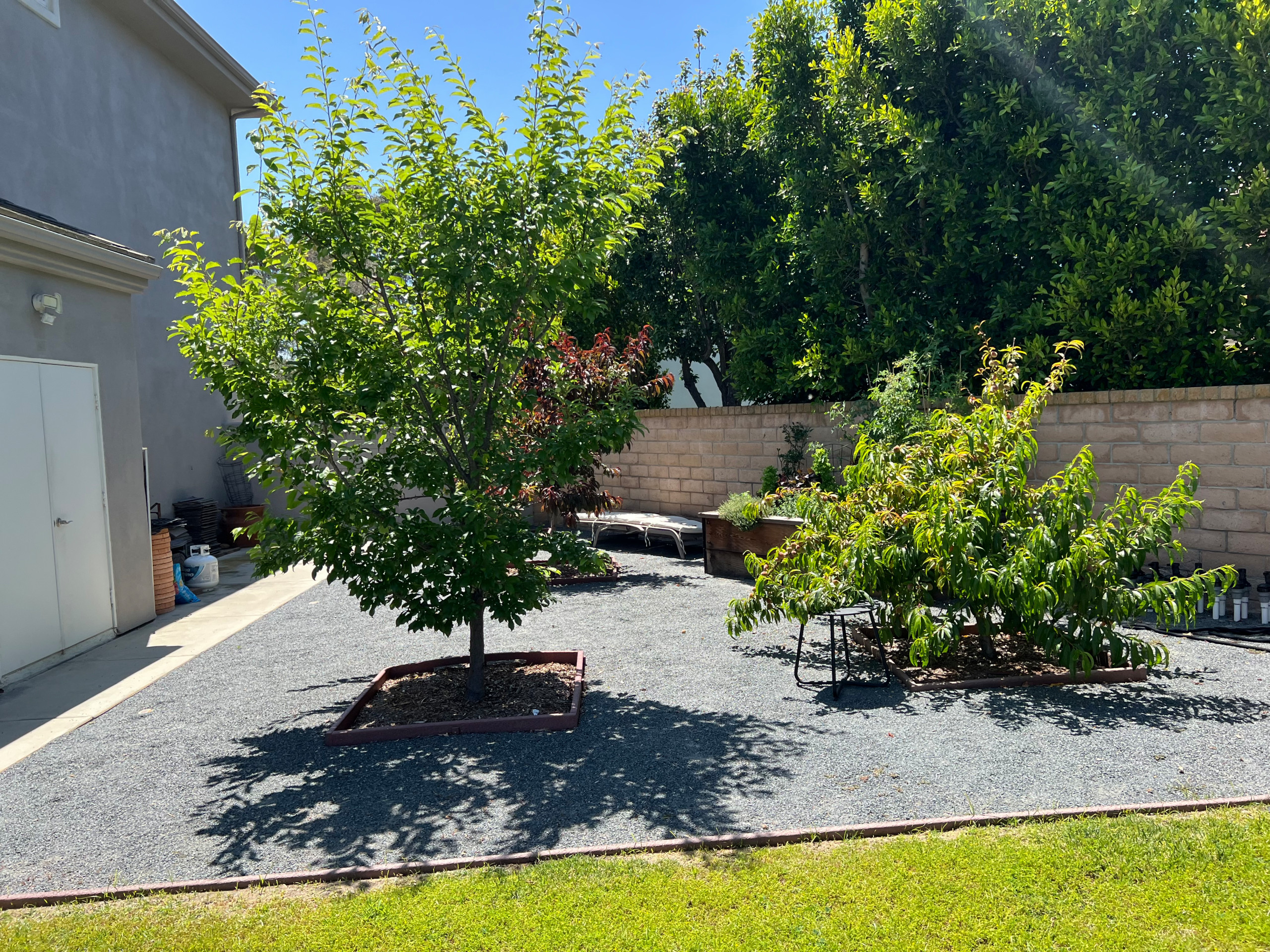 Modern Scripps Ranch Living