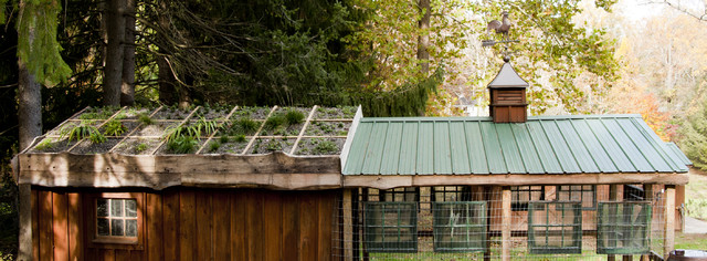 Sustainable Chicken Coop Eclectic Philadelphia By Janiczek Homes