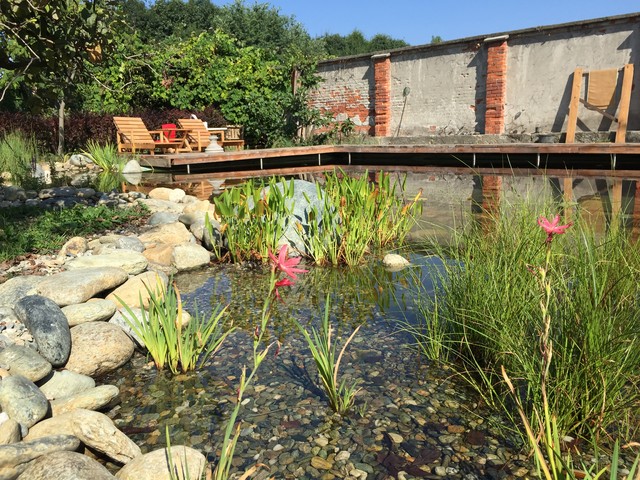 Biopiscina modern-garten