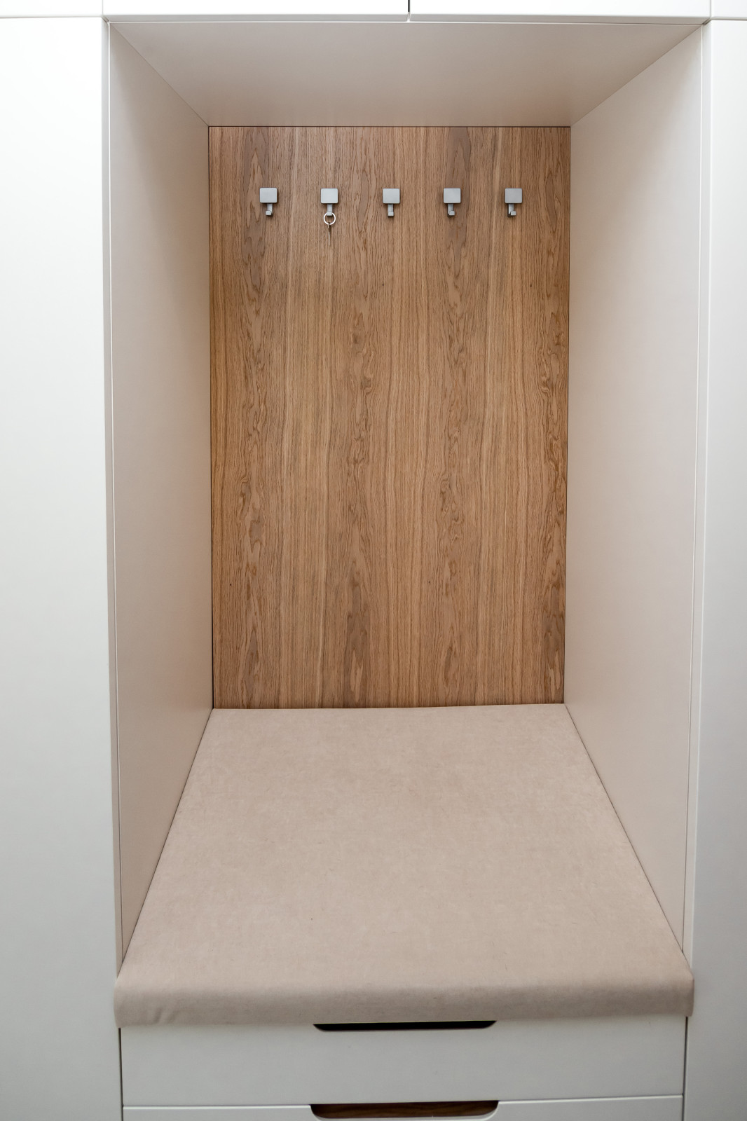 Гардероб и шкаф в прихожую в минималистичном стиле