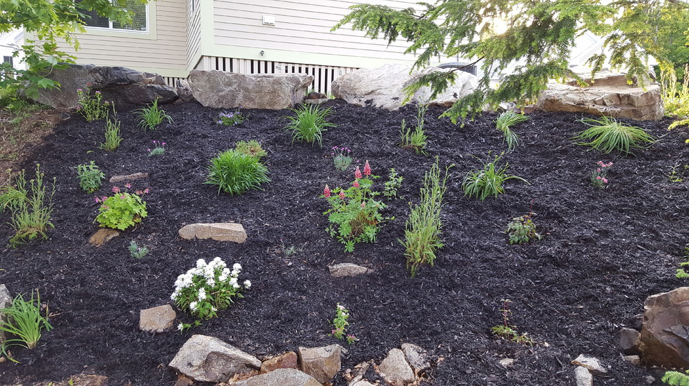 Steep slope covered with Sedum for erosion resistance - Sempergreen