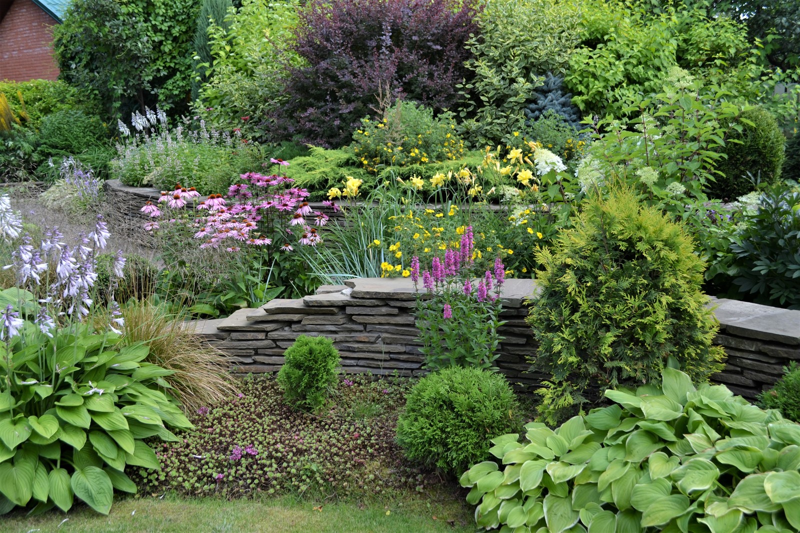 Сад "ВОЛНЫ и КРУГИ"