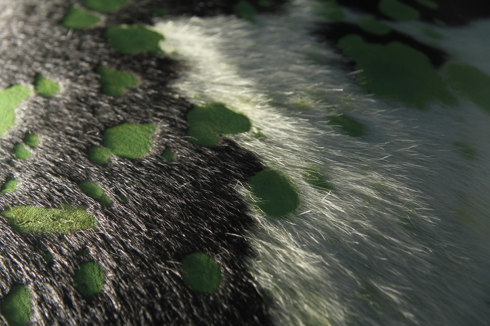 Produkte | Boden & Interior