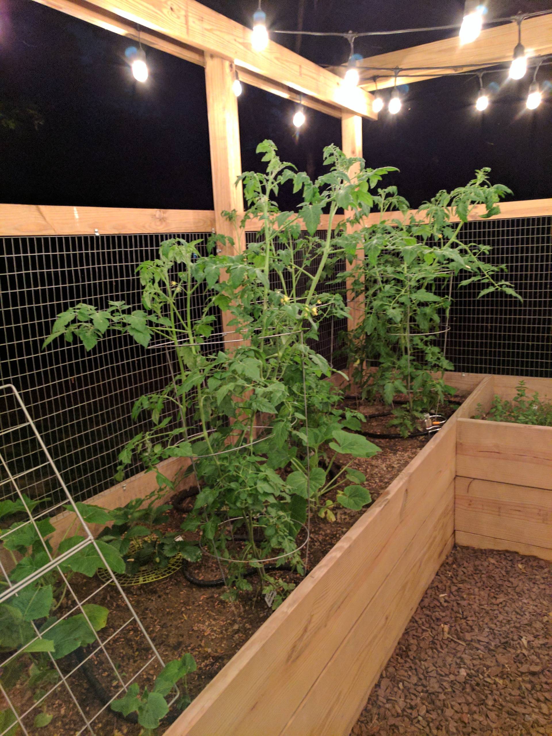 Raised Garden