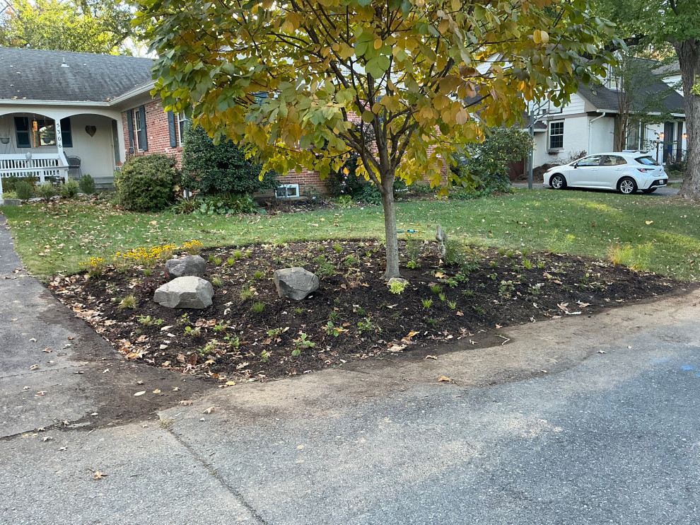 Front Yard Revival: Restoring Curbside Elegance with Native Plants and purpose