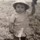 viviane_lafontaine