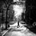 julia_waldron