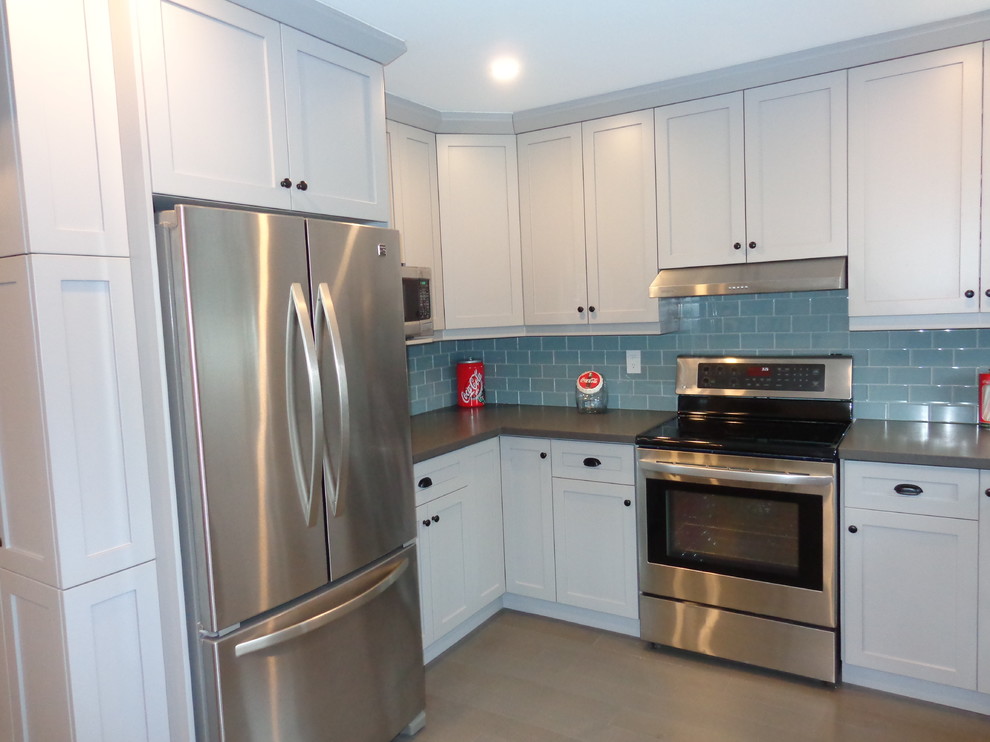 Kitchen - transitional kitchen idea in Toronto
