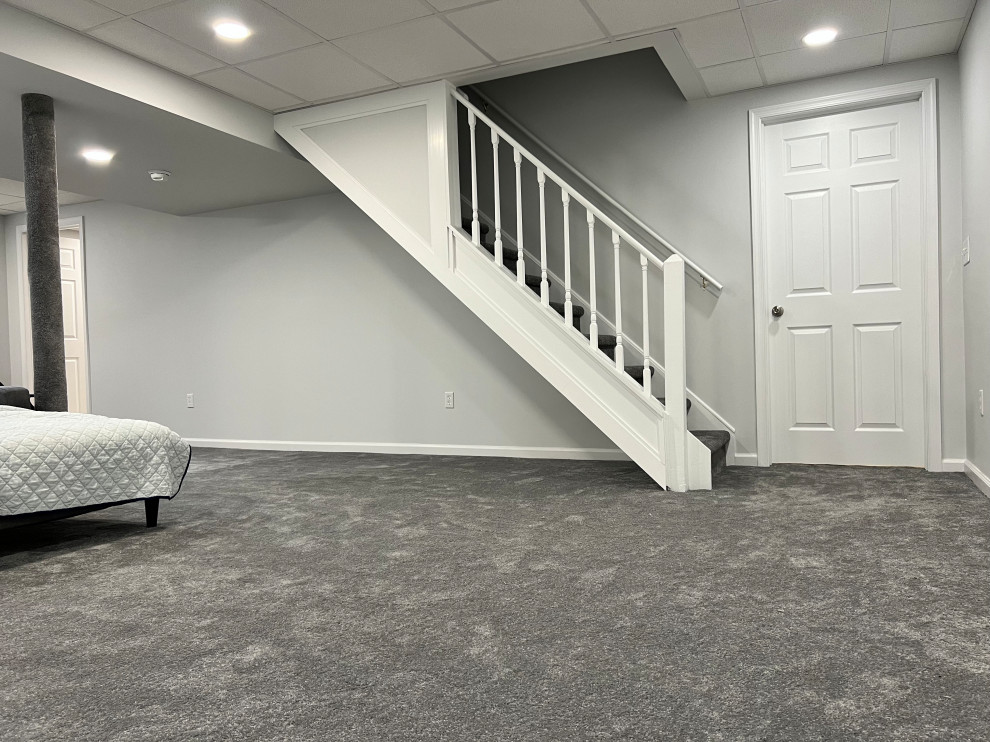 Basement Renovation - Hockessin, DE