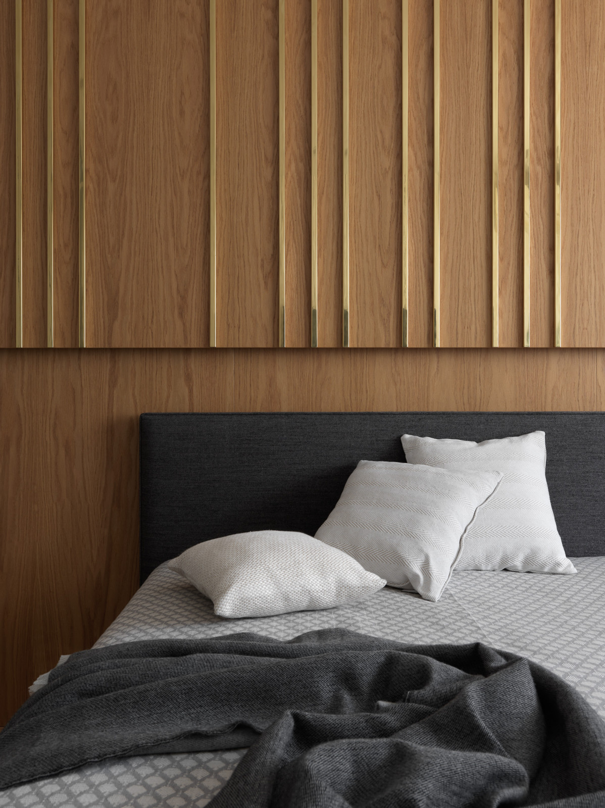 Проект Лебедь