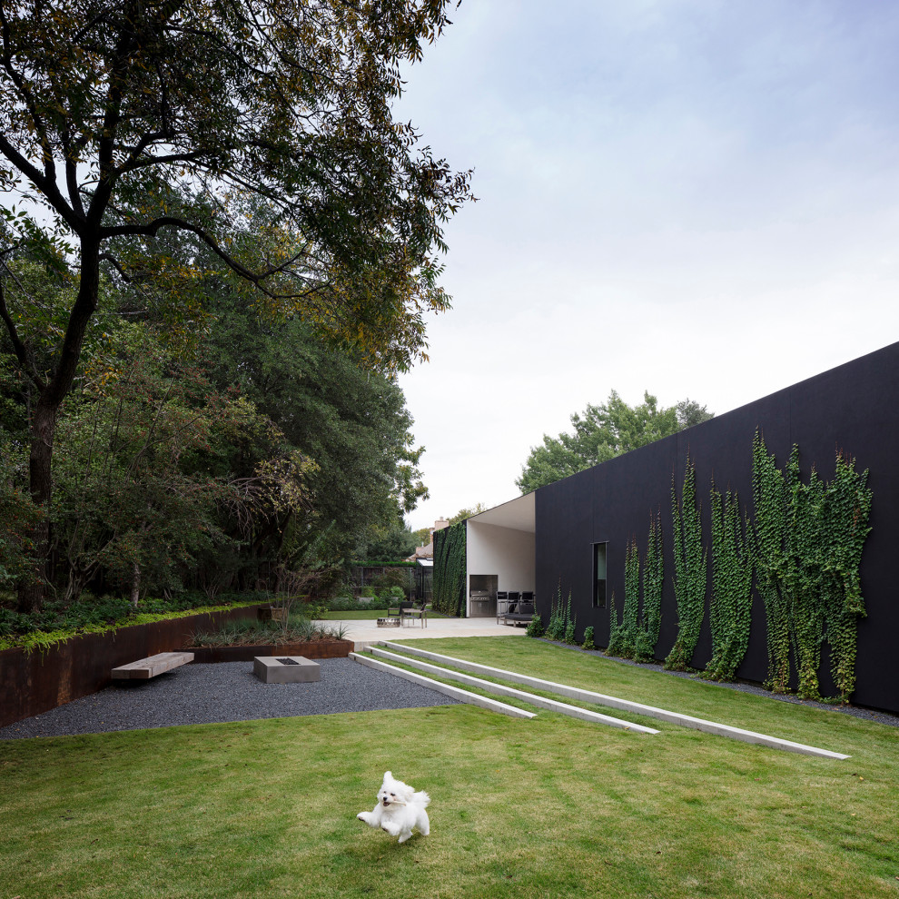 Стильный дизайн: большой солнечный засухоустойчивый сад на заднем дворе в стиле модернизм с хорошей освещенностью, покрытием из гравия и с металлическим забором - последний тренд