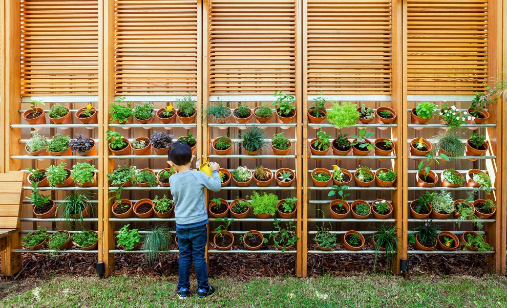 Photo of a modern side yard garden in Sydney with a vegetable garden.