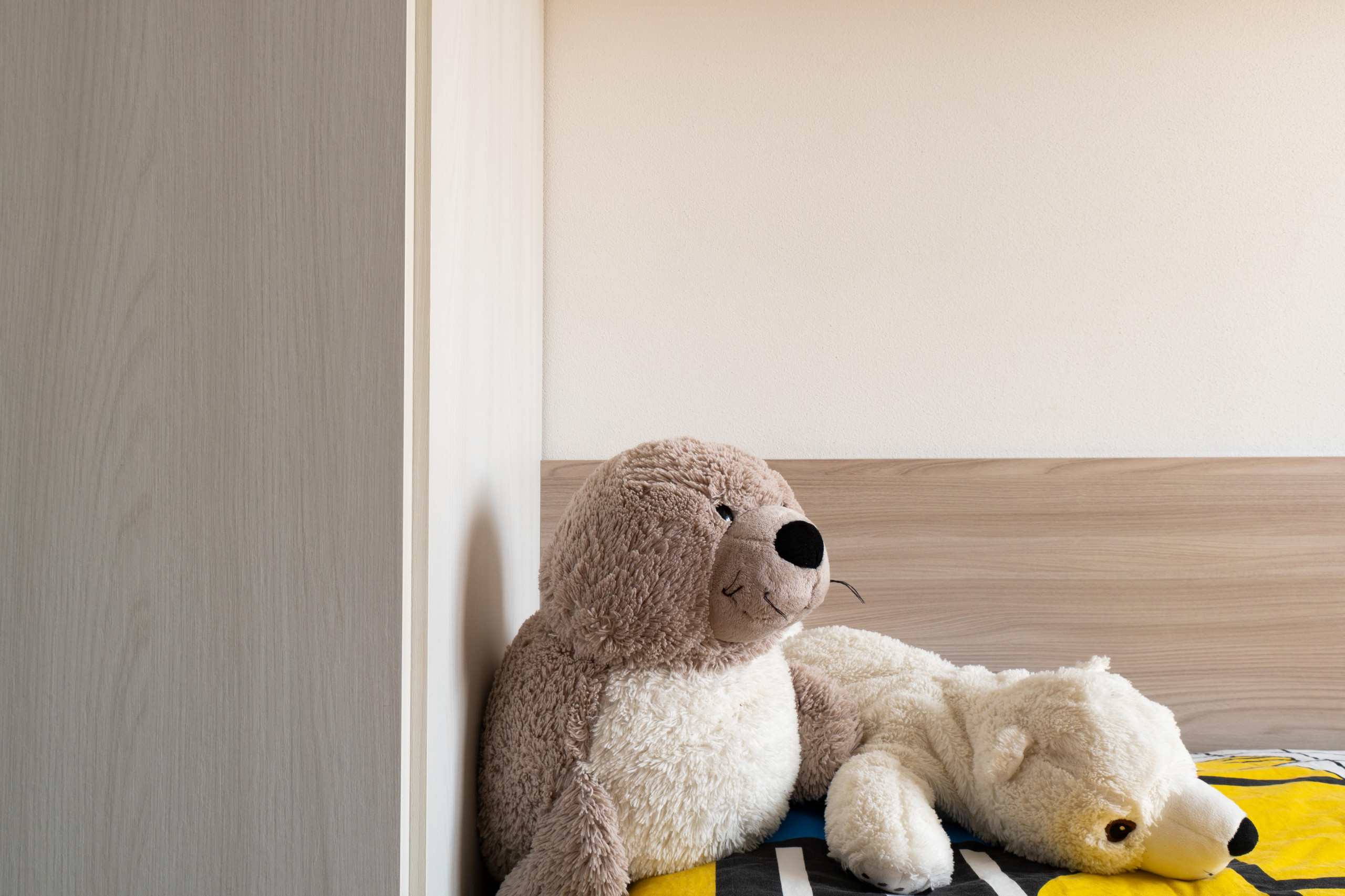 TRIFAMILIARE KM A PADOVA